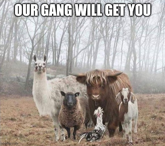 Farm gang | OUR GANG WILL GET YOU | image tagged in farm gang | made w/ Imgflip meme maker