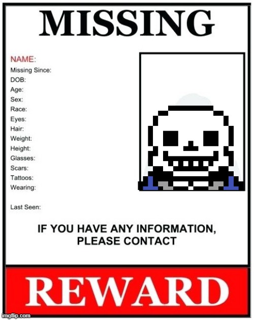 Missing Person Template | image tagged in missing person template | made w/ Imgflip meme maker