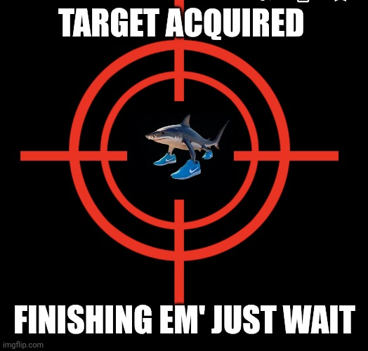 Target acquired | TARGET ACQUIRED; FINISHING EM' JUST WAIT | image tagged in target acquired | made w/ Imgflip meme maker