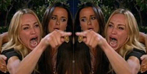 Woman yelling at cat but it's woman yelling at woman Blank Meme Template