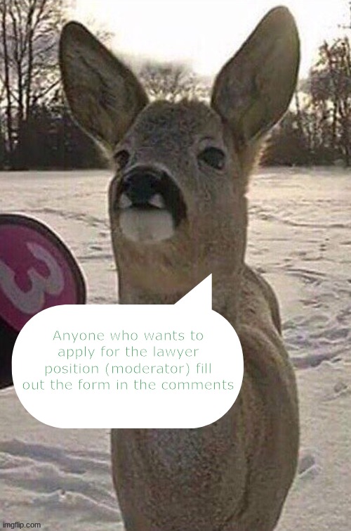 it will be made soon | Anyone who wants to apply for the lawyer position (moderator) fill out the form in the comments | image tagged in deer yap session | made w/ Imgflip meme maker