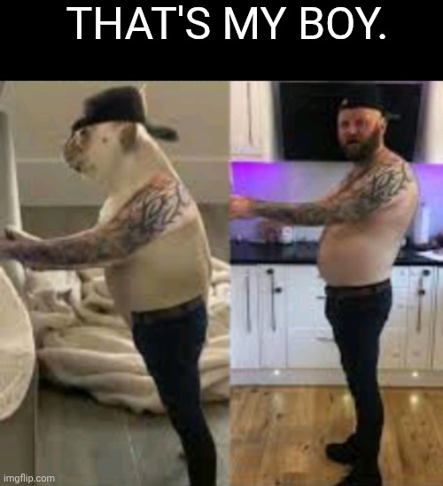 The Dogfather | THAT'S MY BOY. | image tagged in pets,owner | made w/ Imgflip meme maker