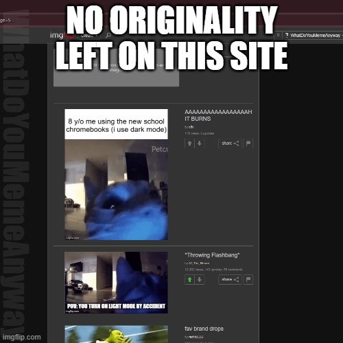 I dont think he's ever had an original thought. In his life. (iykyk) | NO ORIGINALITY LEFT ON THIS SITE; WhatDoYouMemeAnyway | image tagged in fun,repost,unoriginal | made w/ Imgflip meme maker