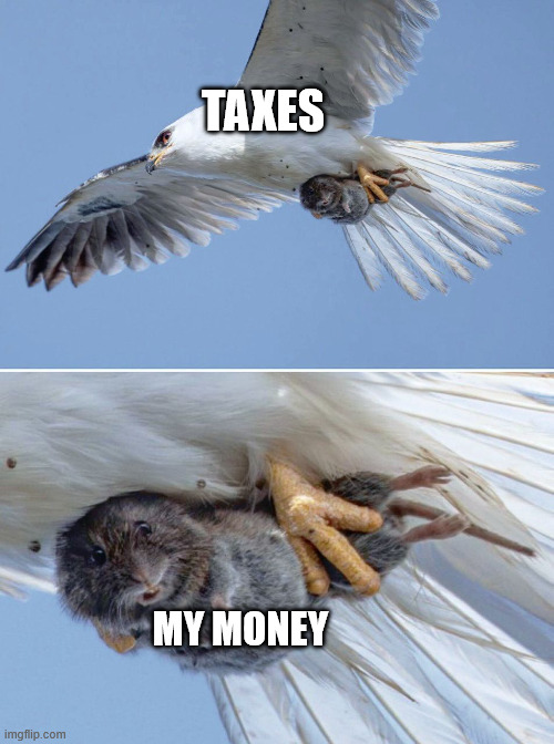 Taxes | TAXES; MY MONEY | image tagged in economy,taxes,eagle | made w/ Imgflip meme maker