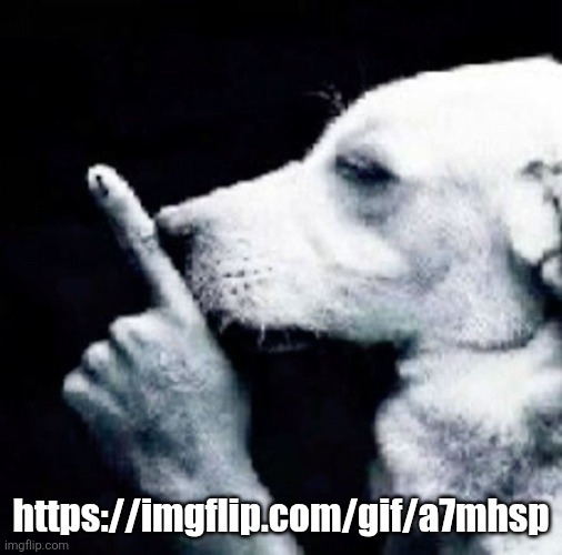 Only professionals can see this gif | https://imgflip.com/gif/a7mhsp | image tagged in shh dog | made w/ Imgflip meme maker
