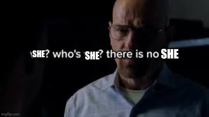 we? who's we? there is no WE. | SHE SHE SHE | image tagged in we who's we there is no we | made w/ Imgflip meme maker