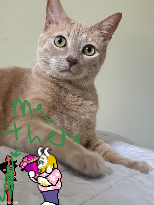 Asgore my husband <3 (also look at my cat) | image tagged in wally my beloved 3 | made w/ Imgflip meme maker