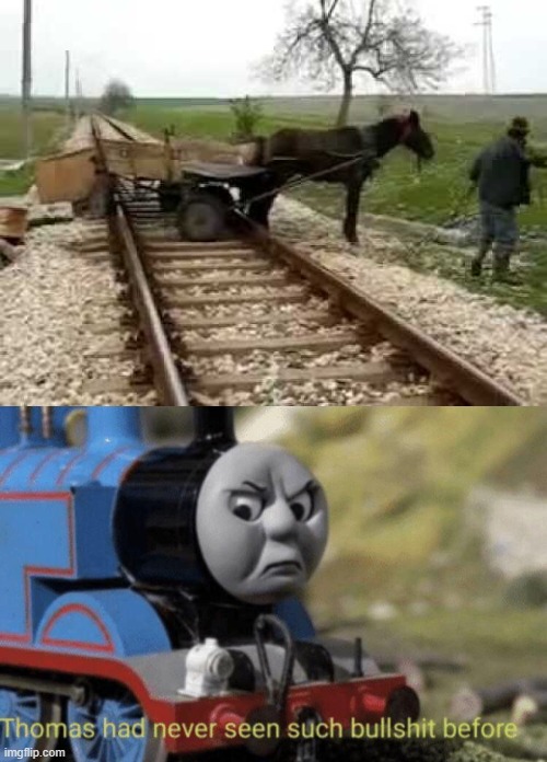 horse is kinda stuck there | image tagged in thomas had never seen such bullshit before,you had one job,horse,railroad,fail,train | made w/ Imgflip meme maker