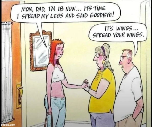 Spread Your Wings | image tagged in sex jokes | made w/ Imgflip meme maker