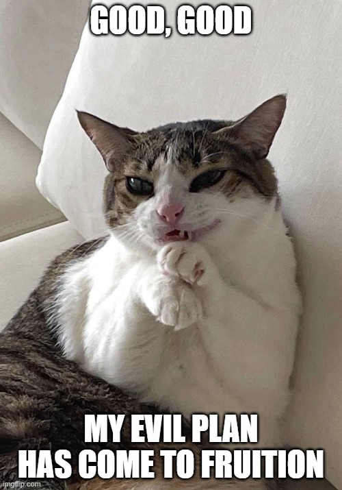 Evil Cat | GOOD, GOOD; MY EVIL PLAN HAS COME TO FRUITION | image tagged in cats | made w/ Imgflip meme maker