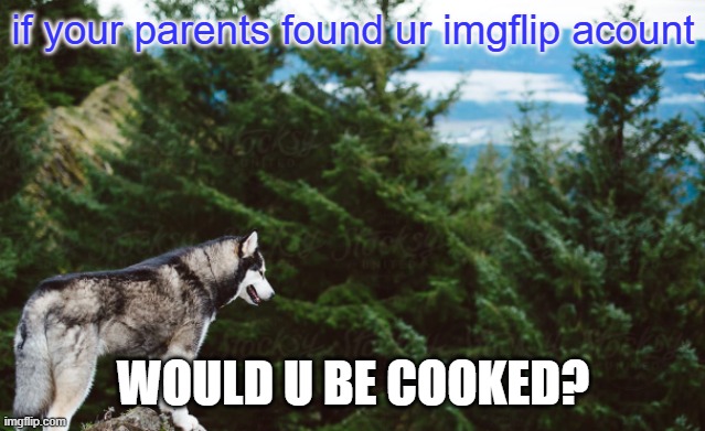 I try to make the world a better place so prolly not mine | if your parents found ur imgflip acount; WOULD U BE COOKED? | image tagged in husky | made w/ Imgflip meme maker