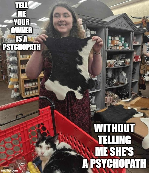 Skin the Cat? | TELL ME YOUR OWNER IS A PSYCHOPATH; WITHOUT TELLING ME SHE'S A PSYCHOPATH | image tagged in cats | made w/ Imgflip meme maker