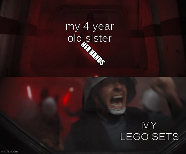 my losses | my 4 year old sister; HER HANDS; MY LEGO SETS | image tagged in darth vader vs rebel | made w/ Imgflip meme maker