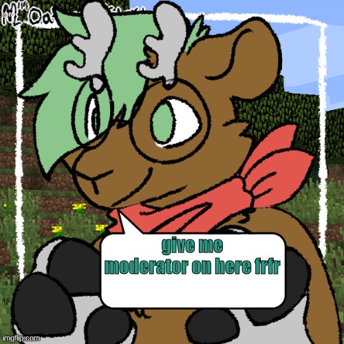 :3 | give me moderator on here frfr | image tagged in forrest reaction temp | made w/ Imgflip meme maker