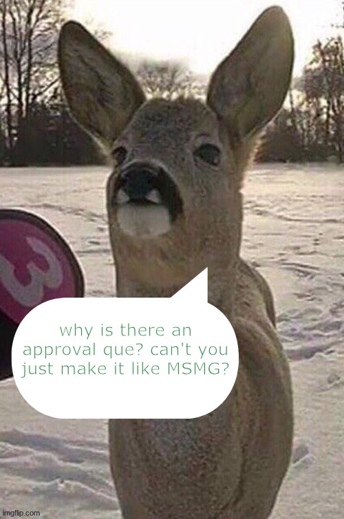 (fr can someone explain) | why is there an approval que? can't you just make it like MSMG? | image tagged in deer yap session | made w/ Imgflip meme maker