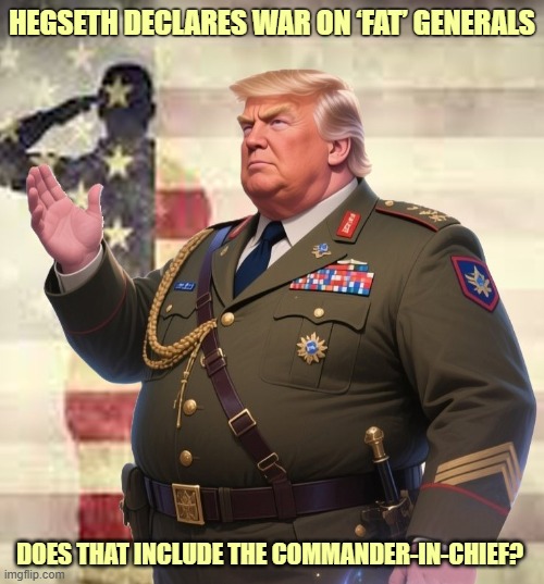 Pete Hegseth says no more FAT Generals! | HEGSETH DECLARES WAR ON ‘FAT’ GENERALS; DOES THAT INCLUDE THE COMMANDER-IN-CHIEF? | image tagged in donald trump,commander in chief,us military,pete hegseth,fat,general | made w/ Imgflip meme maker