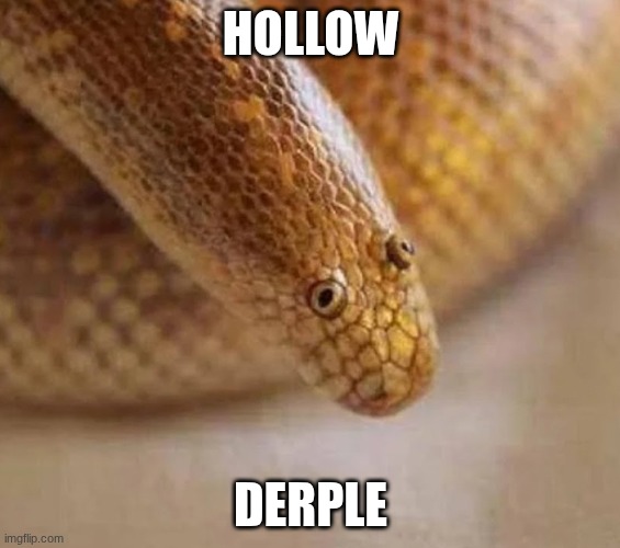 Arabian sand boa | HOLLOW; DERPLE | image tagged in arabian sand boa | made w/ Imgflip meme maker