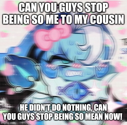 stop being so mean | CAN YOU GUYS STOP BEING SO ME TO MY COUSIN; HE DIDN'T DO NOTHING, CAN YOU GUYS STOP BEING SO MEAN NOW! | made w/ Imgflip meme maker