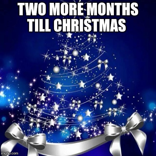 Merry Christmas  | TWO MORE MONTHS TILL CHRISTMAS | image tagged in merry christmas | made w/ Imgflip meme maker