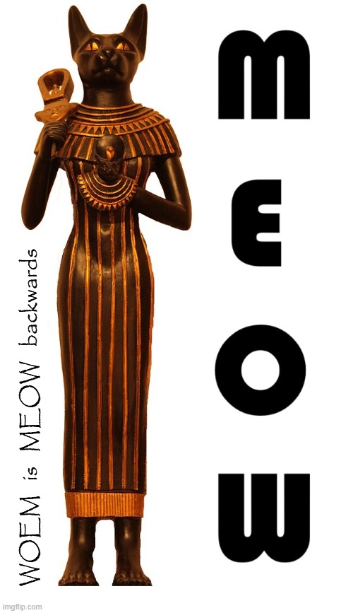 W - worship, O - outstanding, E - egyptian, M - mousers | WOEM   is   MEOW   backwards | image tagged in vince vance,cats,ancient egypt,cat memes,gods of egypt,meow | made w/ Imgflip meme maker