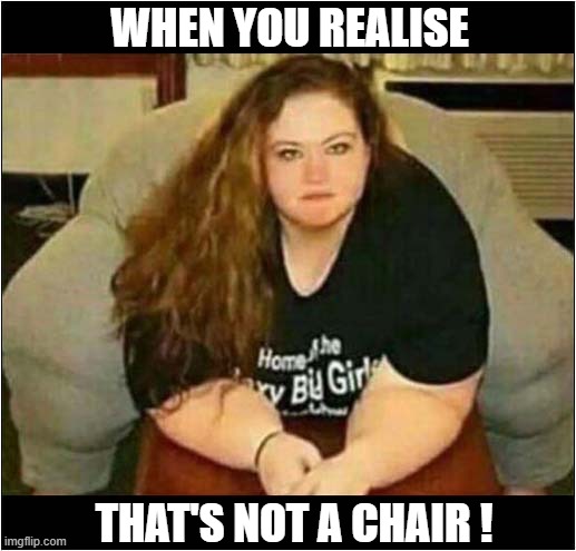 What The Actual F**k ? | WHEN YOU REALISE; THAT'S NOT A CHAIR ! | image tagged in wtf,obese | made w/ Imgflip meme maker