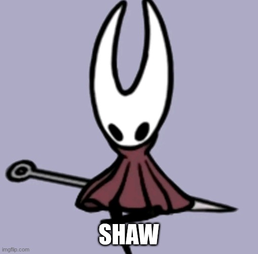 Hornet | SHAW | image tagged in hornet | made w/ Imgflip meme maker