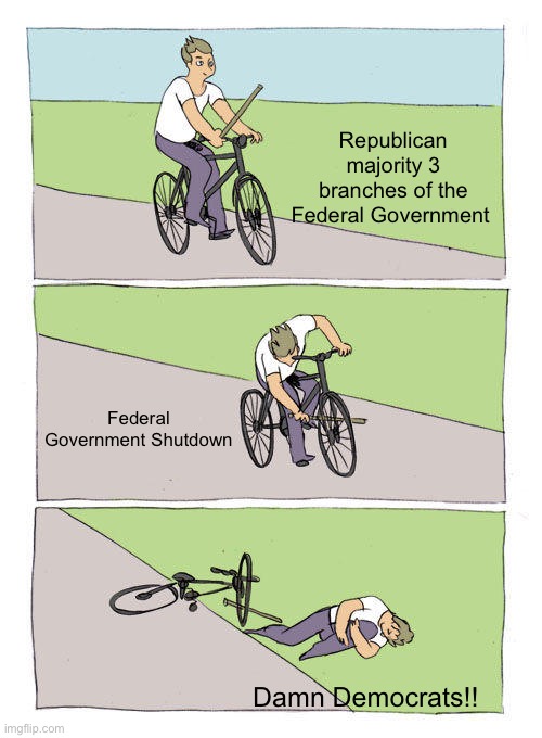 Bike Fall Meme | Republican majority 3 branches of the Federal Government; Federal Government Shutdown; Damn Democrats!! | image tagged in memes,bike fall | made w/ Imgflip meme maker