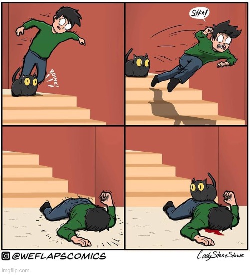 WeFlaps | image tagged in cats,comics,weflaps,coral,trip,fall | made w/ Imgflip meme maker