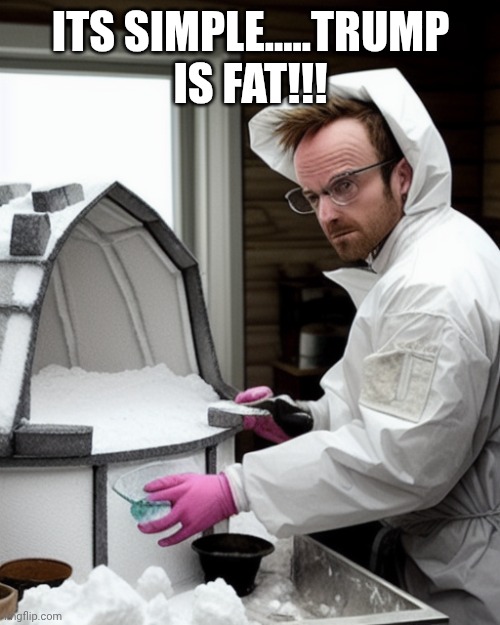 Snowcones | ITS SIMPLE.....TRUMP IS FAT!!! | image tagged in snowcones | made w/ Imgflip meme maker