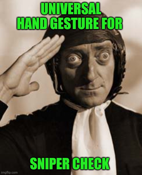 Funny | UNIVERSAL HAND GESTURE FOR; SNIPER CHECK | image tagged in marty feldman copy that,salute,military humor,sniper,check yourself before you wreck yourself,universal knowledge | made w/ Imgflip meme maker