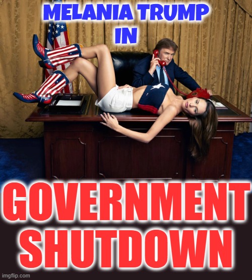 GOVERNMENT SHUTDOWN? | MELANIA TRUMP
IN; GOVERNMENT SHUTDOWN | image tagged in trump,government shutdown,furlough,closure,curtailment,abeyance | made w/ Imgflip meme maker