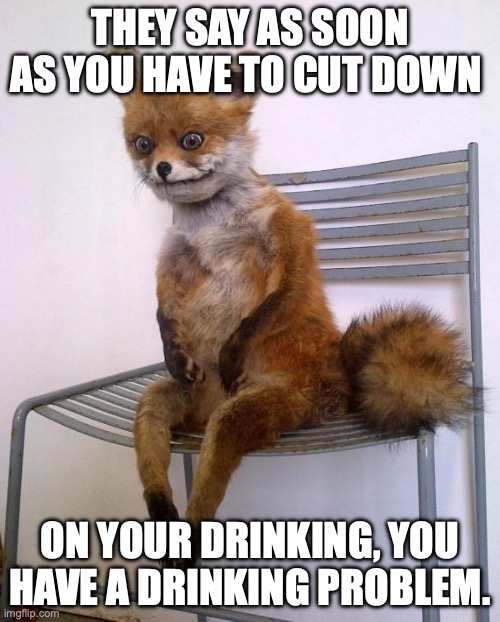 Stoned Fox has a Don Draper moment | THEY SAY AS SOON AS YOU HAVE TO CUT DOWN; ON YOUR DRINKING, YOU HAVE A DRINKING PROBLEM. | image tagged in stoned fox,don draper,drinking,alcoholic,life problems | made w/ Imgflip meme maker