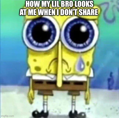 sad bob sponge | HOW MY LIL BRO LOOKS AT ME WHEN I DON’T SHARE | image tagged in sad bob sponge | made w/ Imgflip meme maker