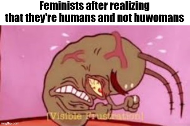 real | Feminists after realizing that they're humans and not huwomans | image tagged in visible frustration,angry feminist | made w/ Imgflip meme maker