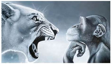 Thinking Monkey and Rage Baited Lion Blank Meme Template