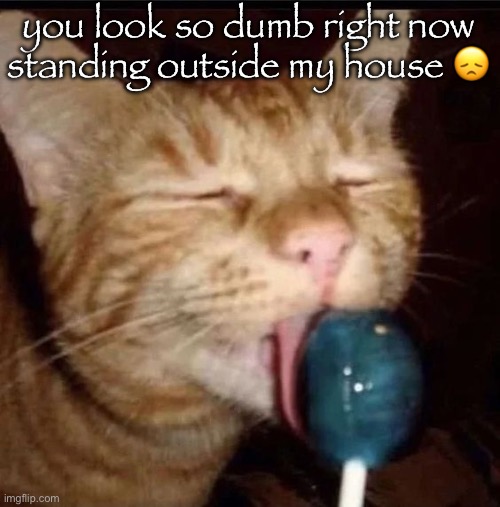 silly goober 2 | you look so dumb right now
standing outside my house 😞 | image tagged in silly goober 2 | made w/ Imgflip meme maker