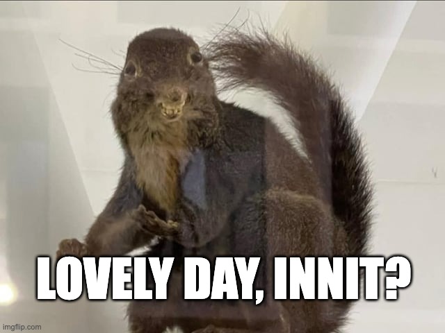 Bad Taxidermy Squirrel | LOVELY DAY, INNIT? | image tagged in bad taxidermy squirrel | made w/ Imgflip meme maker