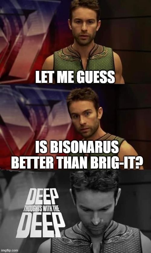 Me in deep thoughta | LET ME GUESS; IS BISONARUS BETTER THAN BRIG-IT? | image tagged in memes,my singing monsters | made w/ Imgflip meme maker
