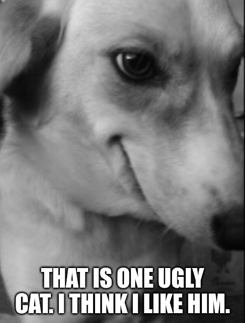 Clever | THAT IS ONE UGLY CAT. I THINK I LIKE HIM. | image tagged in clever | made w/ Imgflip meme maker