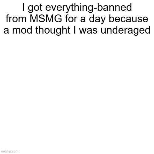 Plus they gave me no notification or anything I just got banned without approval | I got everything-banned from MSMG for a day because a mod thought I was underaged | made w/ Imgflip meme maker
