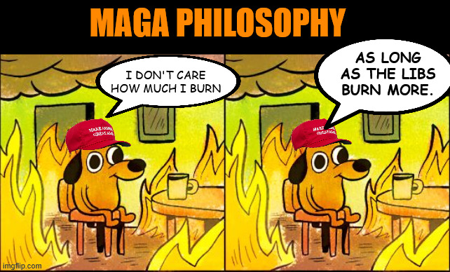 MAGA PHILOSOPHY; AS LONG AS THE LIBS BURN MORE. I DON'T CARE HOW MUCH I BURN | image tagged in this is fine | made w/ Imgflip meme maker