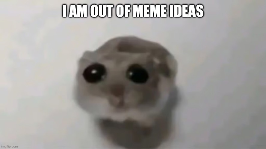 hampter sad | I AM OUT OF MEME IDEAS | image tagged in hampter sad | made w/ Imgflip meme maker