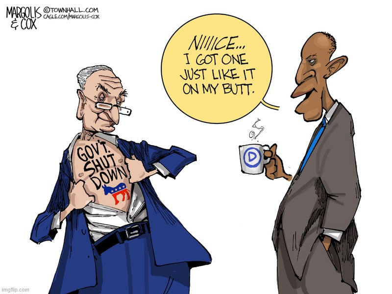 democrats own it | image tagged in shutdown over funding free health care for illegals,democrats own this,government shutdown | made w/ Imgflip meme maker