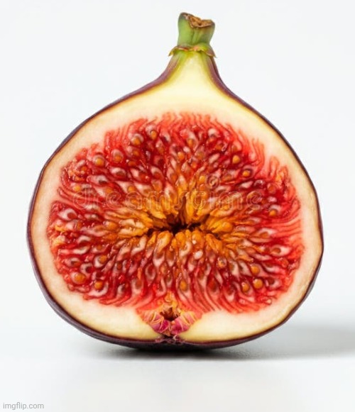 Fig | made w/ Imgflip meme maker