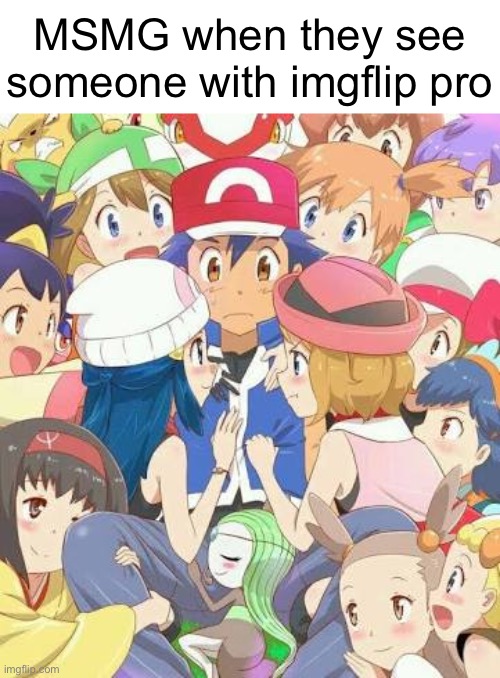 Pokemon Girls | MSMG when they see someone with imgflip pro | image tagged in pokemon girls | made w/ Imgflip meme maker
