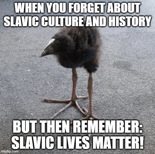 Pukeko chick | WHEN YOU FORGET ABOUT SLAVIC CULTURE AND HISTORY; BUT THEN REMEMBER: SLAVIC LIVES MATTER! | image tagged in pukeko chick,slavic lives matter | made w/ Imgflip meme maker