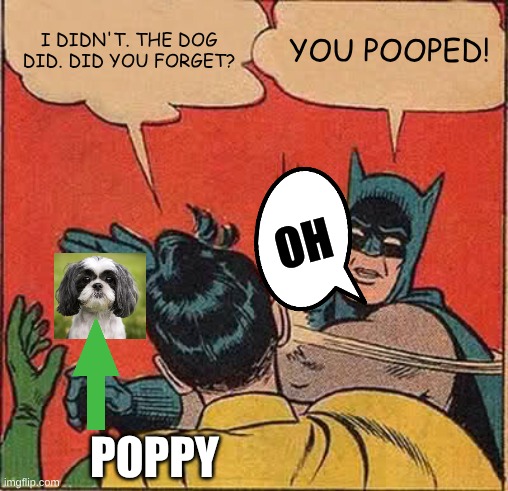 Dog Poops & Batman slaps wrong person | I DIDN'T. THE DOG DID. DID YOU FORGET? YOU POOPED! OH; POPPY | image tagged in memes,batman slapping robin,dogs | made w/ Imgflip meme maker