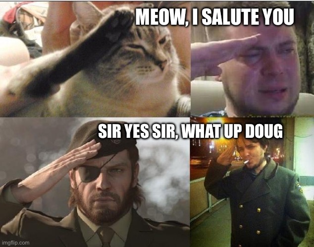 The different salutes | MEOW, I SALUTE YOU; SIR YES SIR, WHAT UP DOUG | image tagged in ozon's salute | made w/ Imgflip meme maker