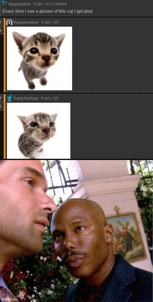 why did they both reply to the same comment at the same time with the same cat | image tagged in doakes | made w/ Imgflip meme maker