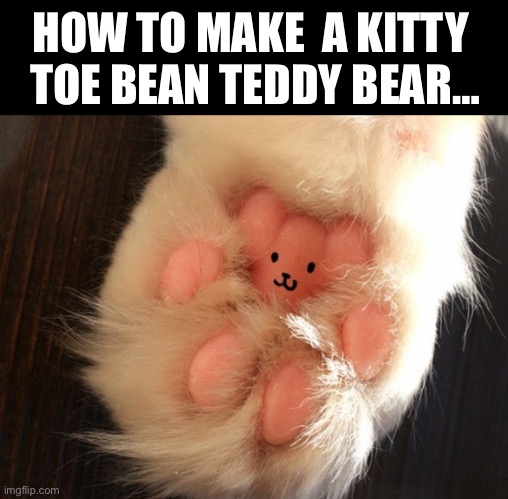 Toe beans make good teddy bears… | HOW TO MAKE  A KITTY 
TOE BEAN TEDDY BEAR… | image tagged in cats,toe beans,teddy bear,fuzzy | made w/ Imgflip meme maker